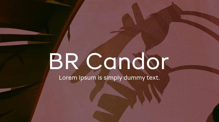 BR Candor Font Family