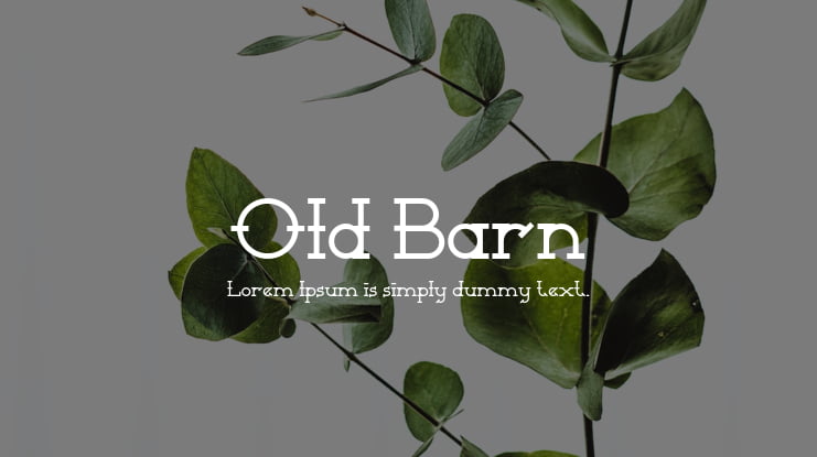 Old Barn Font