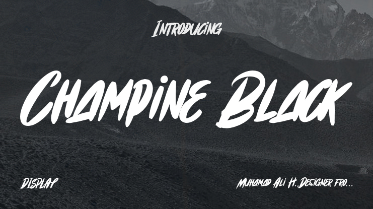 Champine Black Font Family