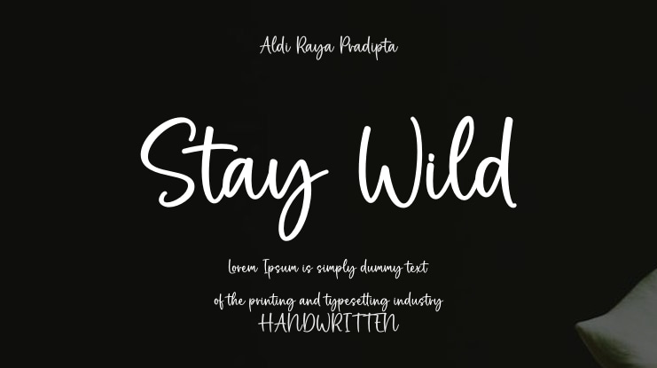 Stay Wild Font