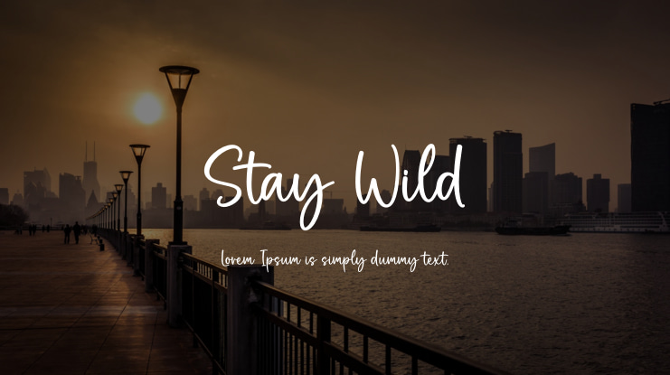 Stay Wild Font