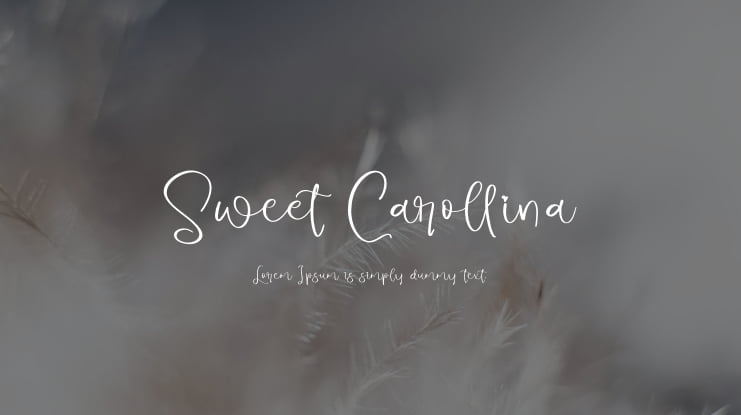 Sweet Carollina Font