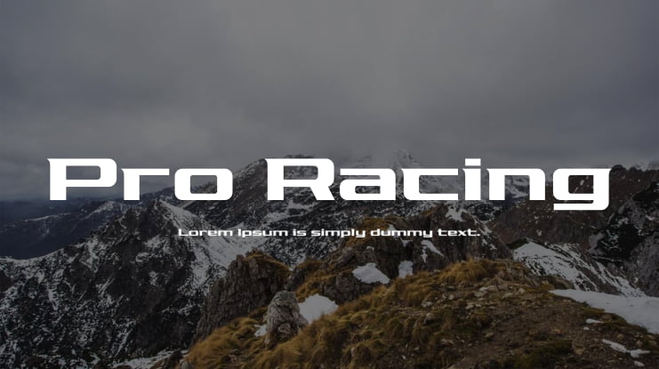 Pro Racing Font Family