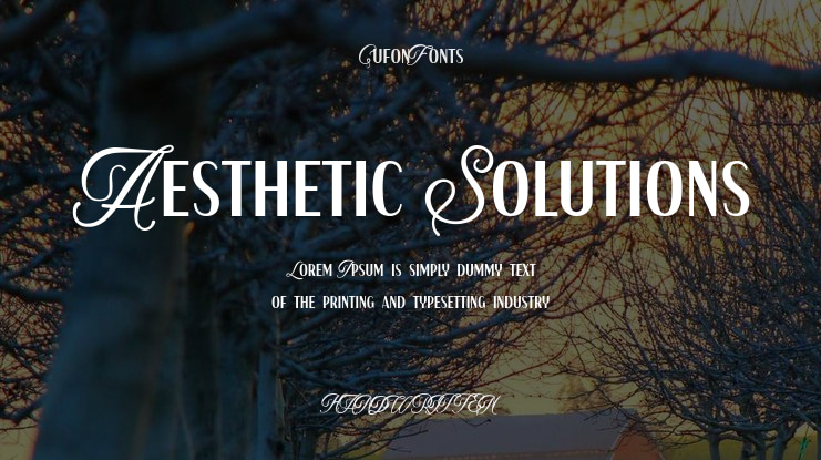 Aesthetic Solutions Font