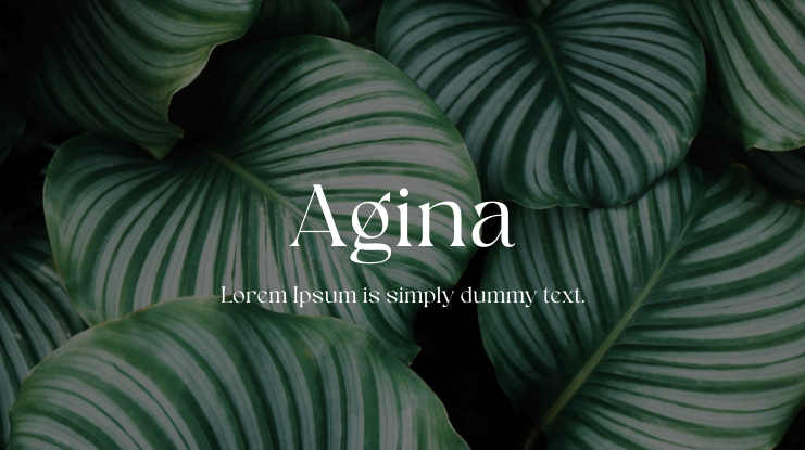 Agina Font