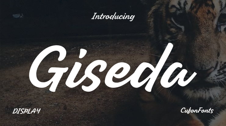 Giseda Font