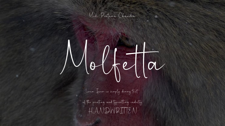 Molfetta Font