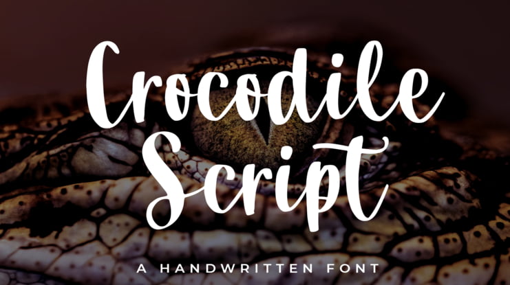 Crocodile Script Font