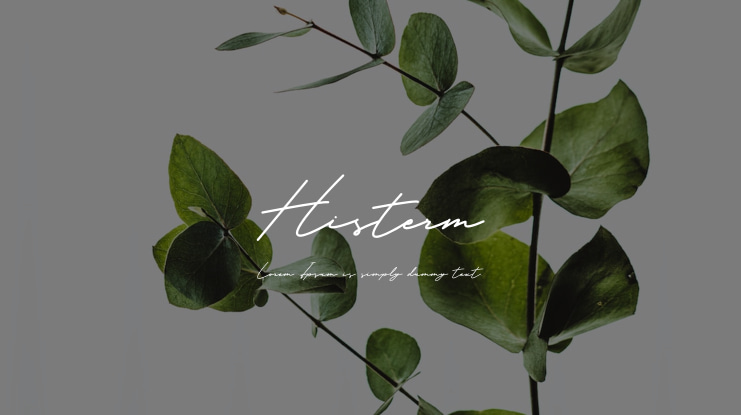 Histerm Font