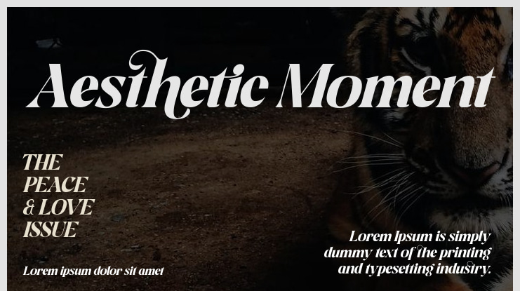 Aesthetic Moment Font
