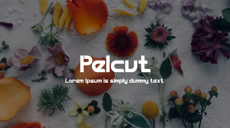 Pelcut Font