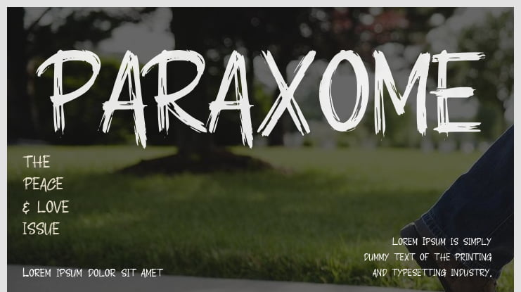 PARAXOME Font