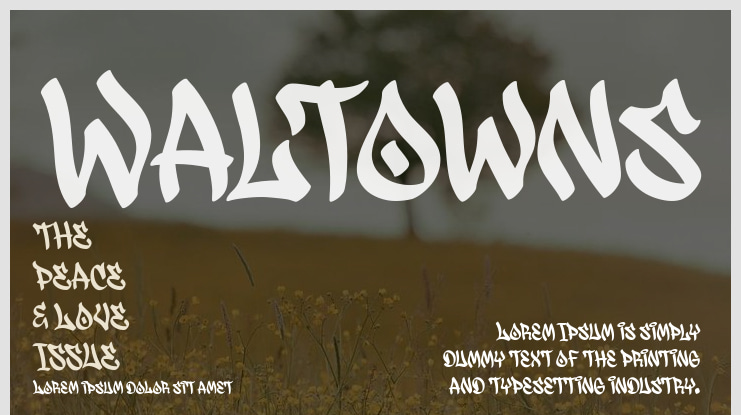 Waltowns Font