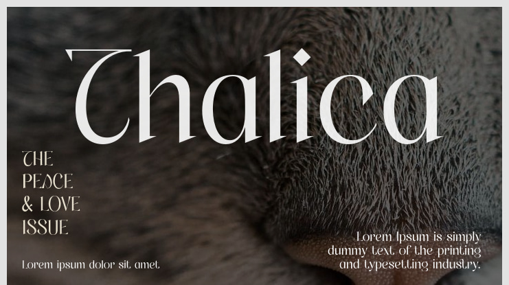 Thalica Font