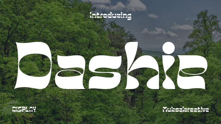 Dashie Font