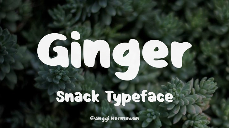 Ginger Snack Font