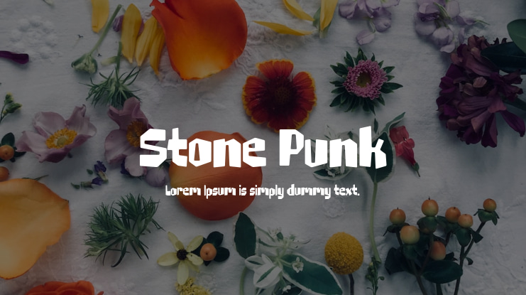 Stone Punk Font