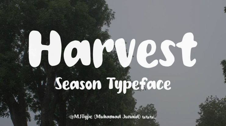 Harvest Season Font