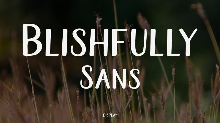 Blishfully Sans Font Family