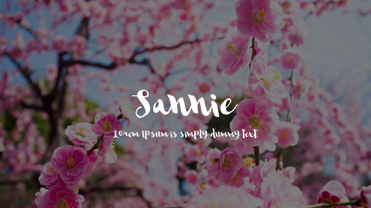Sannie Font