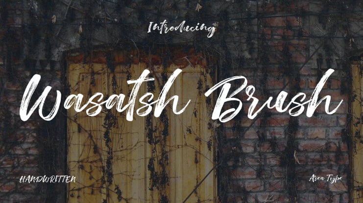 Wasatsh Brush Font Family