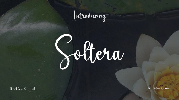 Soltera Font