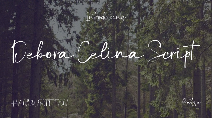 Debora Celina Script Font Family