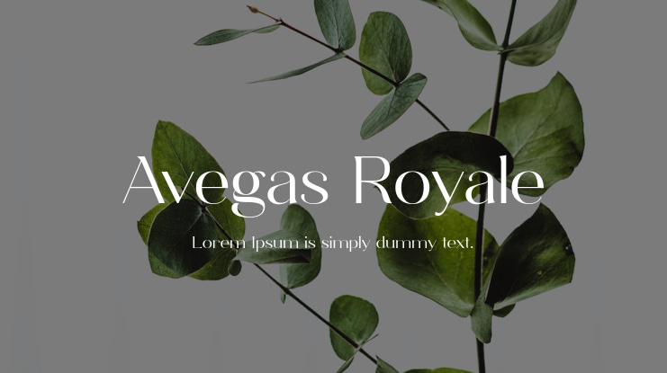 Avegas Royale Font Family