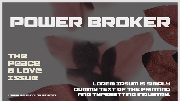 Power Broker Font Family
