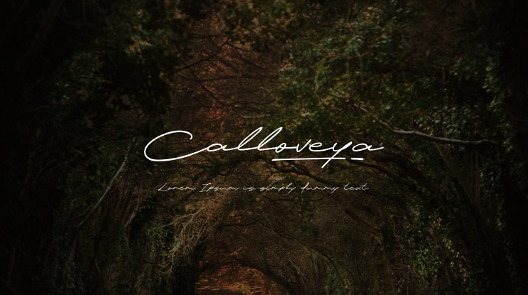 Calloveya Font