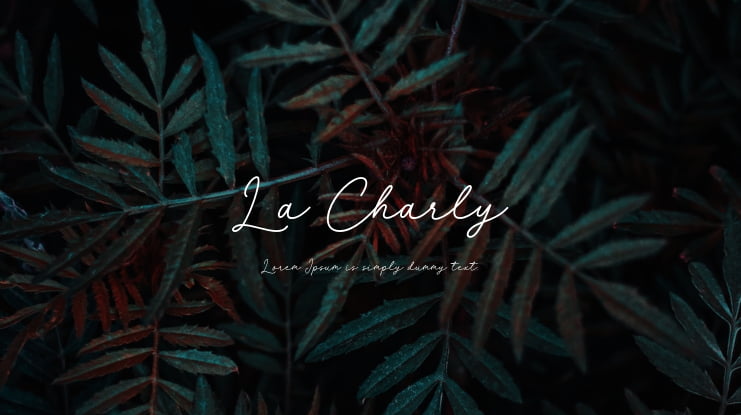 La Charly Font