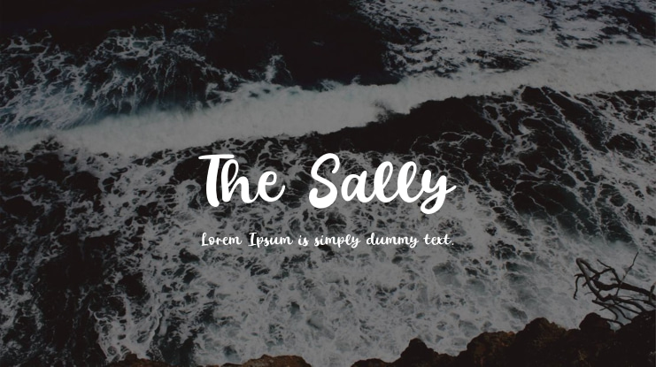 The Sally Font