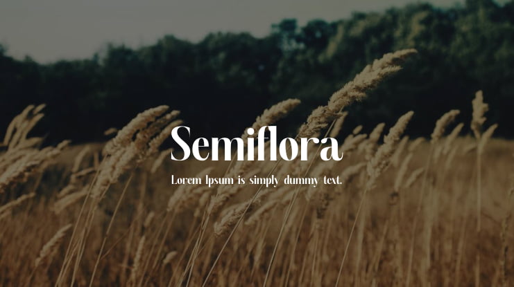 Semiflora Font