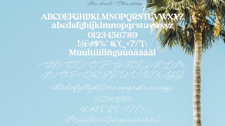 Aima Font Duo
