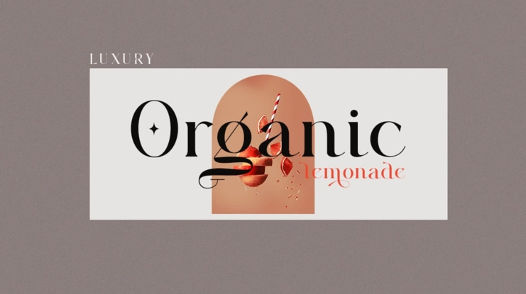 Majors Typeface Font