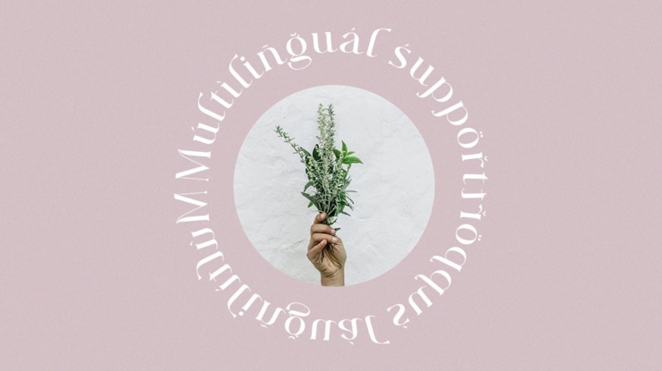 Majors Typeface Font