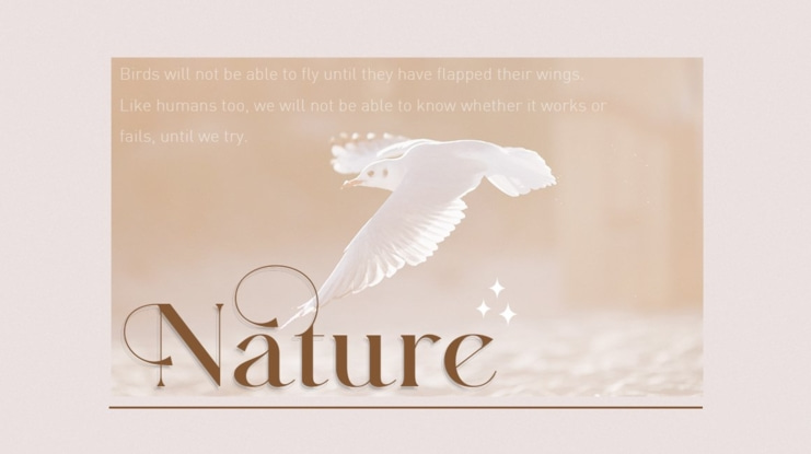 Majors Typeface Font