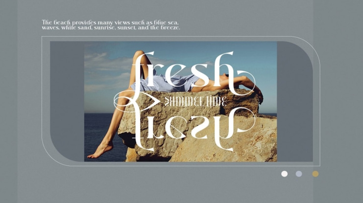 Majors Typeface Font