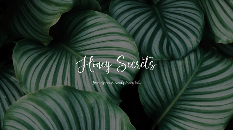 Honey Secrets Font