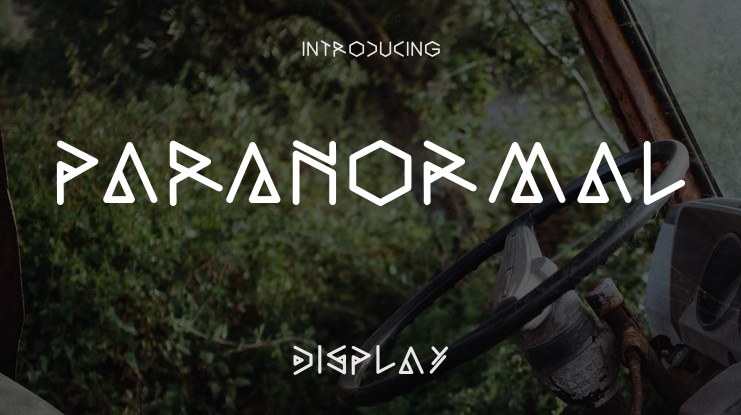 PAraNoRmAl Font