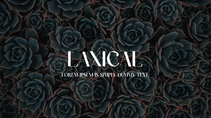 Laxical Font