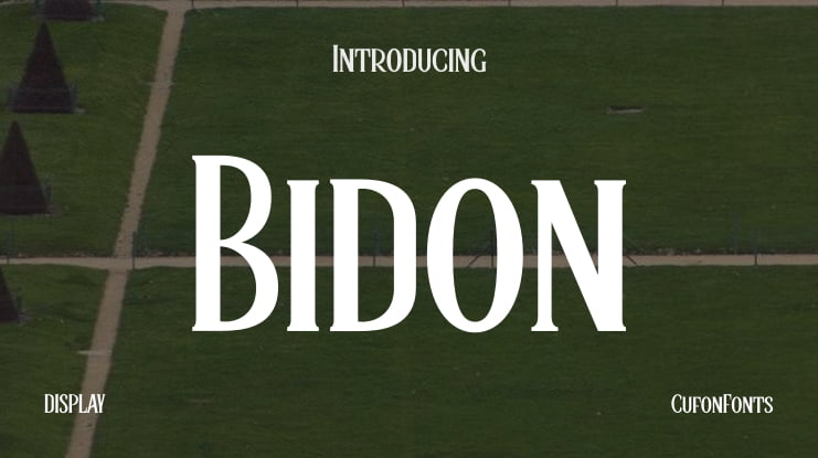 Bidon Font