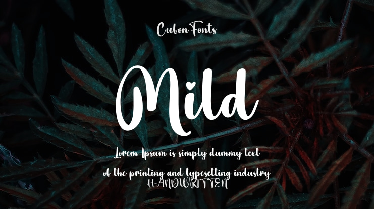 Mild Font