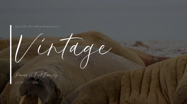 Vintage Paradise Font