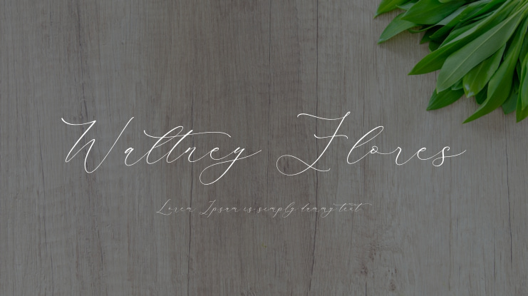 Waltney Flores Font