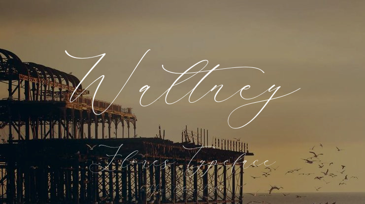 Waltney Flores Font