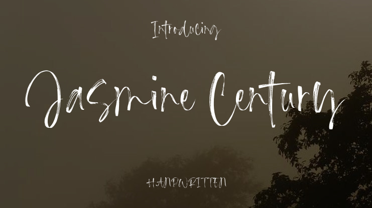 Jasmine Century Font