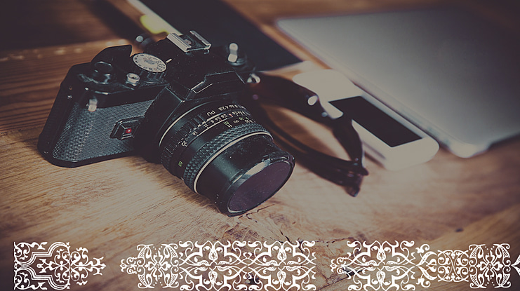 Im Fell Flowers Font Family