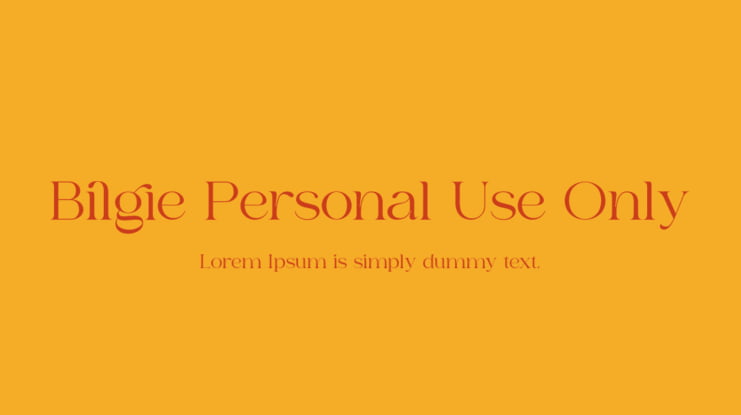 Bilgie Personal Use Only Font