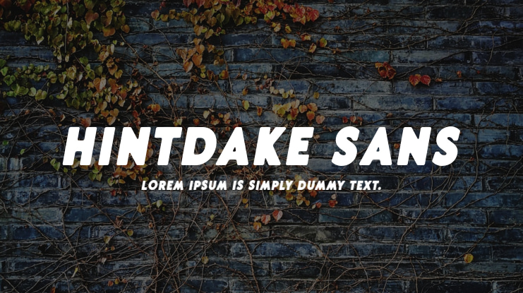 Hintdake Sans Font